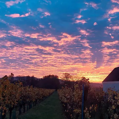 Centre Alsace * Nothalten
