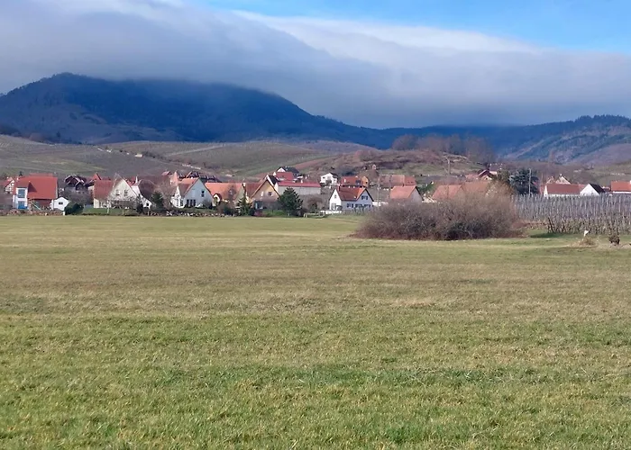 Apartment Centre Alsace